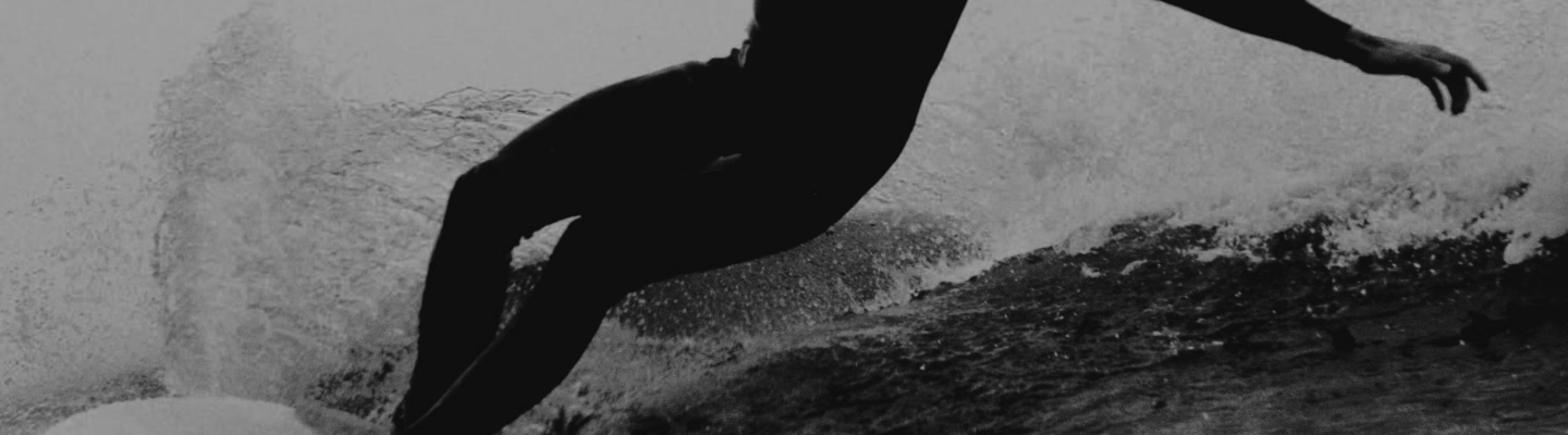 banner1